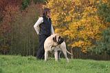 ADULTE ET CHIEN 490